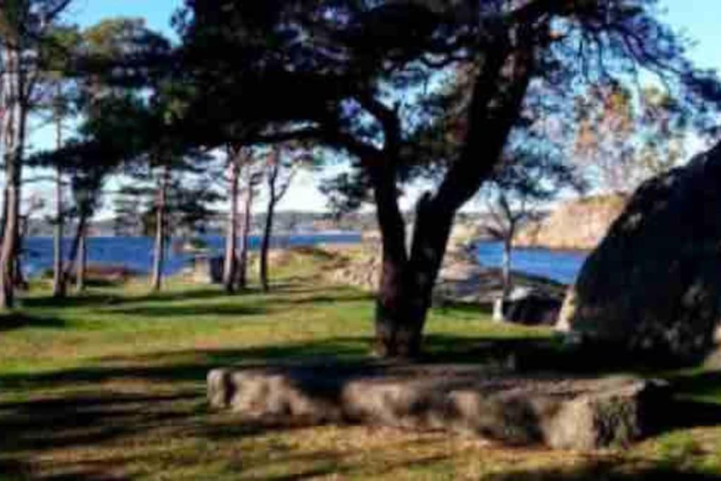 Idyllisk Lite Anneks Med Enestaende Uteplass Larvik Bagian luar foto